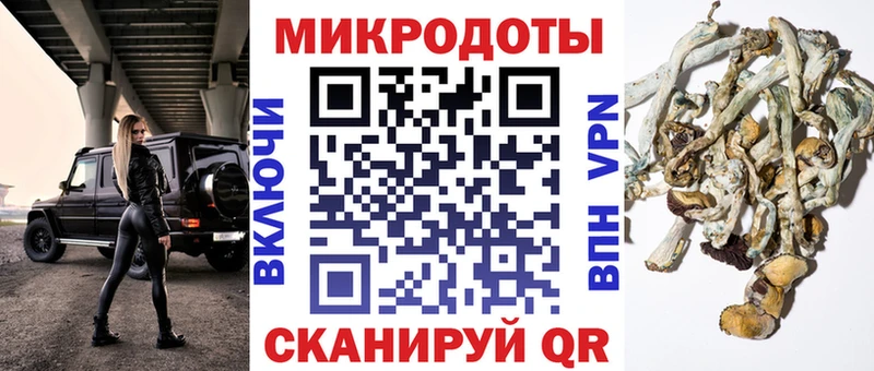 закладки  Михайловск  omg вход  Галлюциногенные грибы Psilocybe 